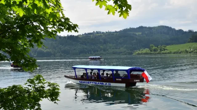 cruiseHero480p.584b3a6f7010e61f7966